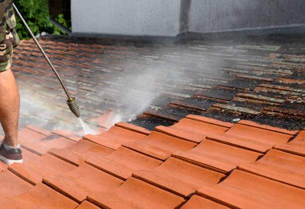 Best Exterior Home Cleaning  in Wyoming, IL