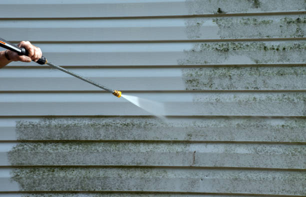Best Roof Power Washing Services  in Wyoming, IL