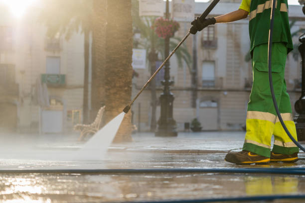 Best Roof Power Washing Services  in Wyoming, IL